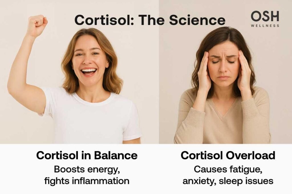 Cortisol balance versus overload, showing energy, fatigue, anxiety, and sleep issues.